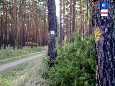 Auf dem Pilgerweg in Brandenburg