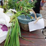 Pflanzentausch beim Kunst- und Handwerkermarkt 2023