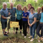 Pflanzaktion der Basisinitiative Blühendes Woltersdorf Pflanzaktion der Basisinitiative Blühendes Woltersdorf